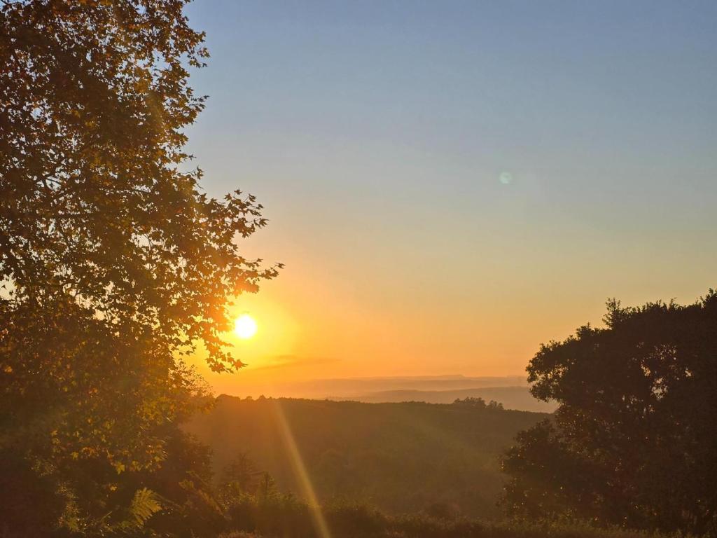 Hilton Horizon, Hilton