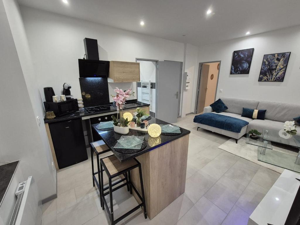 Appartement complet a 2 pas de la Gare-Centre - 4