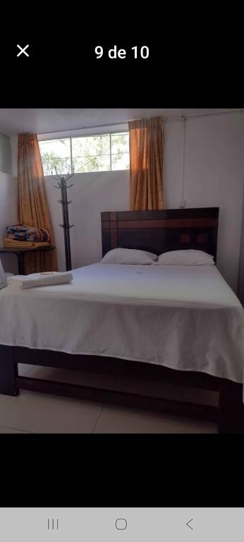 ARISTE y SUEÑO, Ayacucho