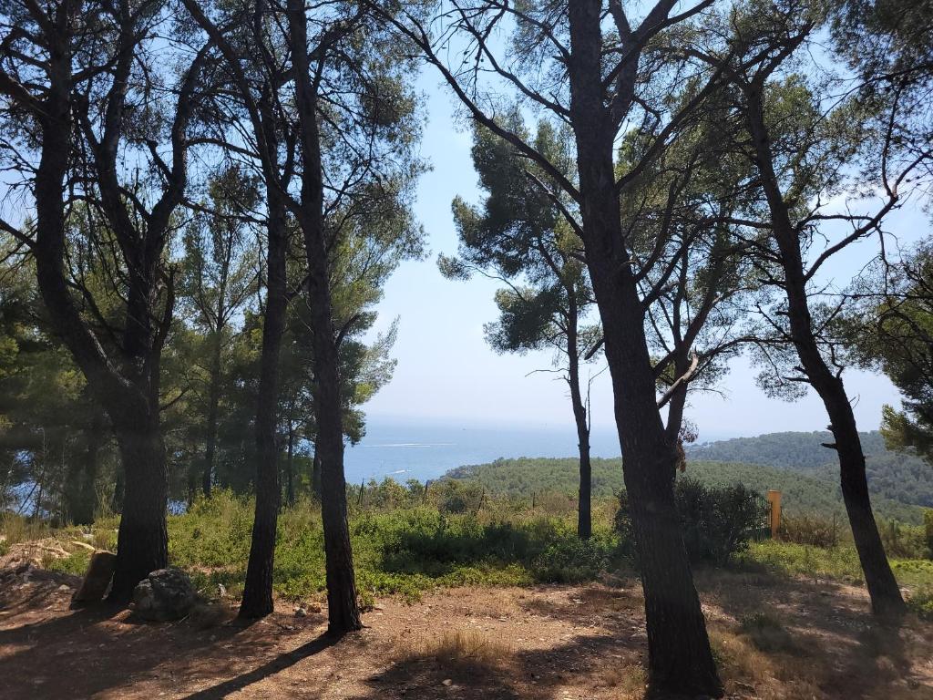 Entre Nature et Calanques, le repos en Provence - 3