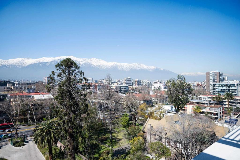 Chic 1-Bedroom Retreat in Providencia - 4