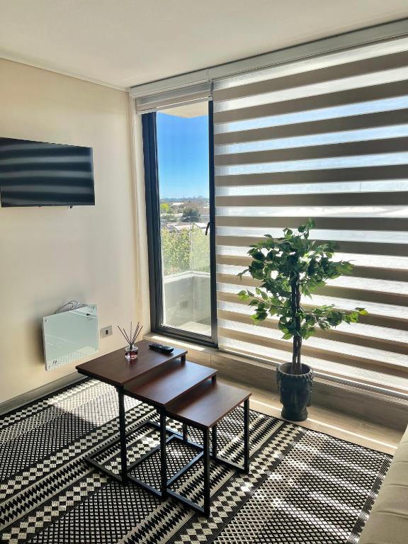 Maravilloso y central departamento - 3