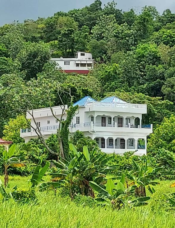 Forest Cottage, Port Antonio