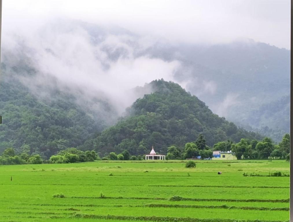 dreamy orchard -myst, Nakraunda