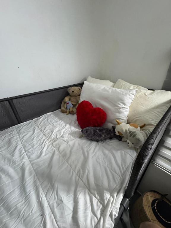 Cozy nature homestay, Kuala Lumpur