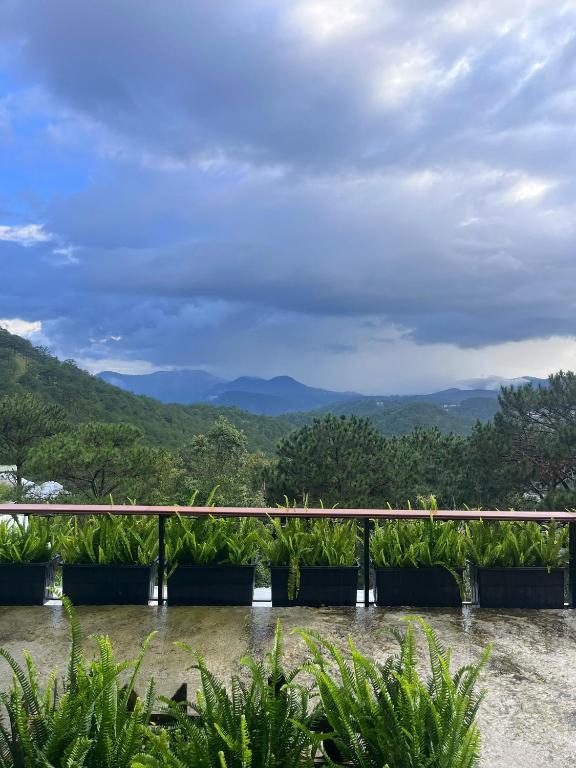 Cuc ku homestay, Ấp Ða Lợi