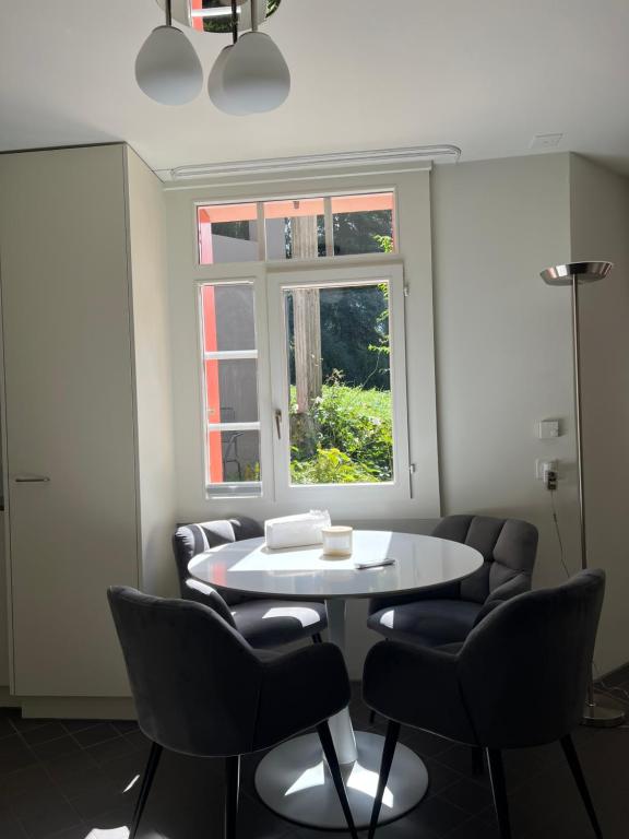 Beautiful and bright studio flat right in front of Zurich lake, Curych