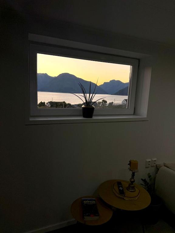 Koselig ved Fjorden - Vangsnes, Vangsnes