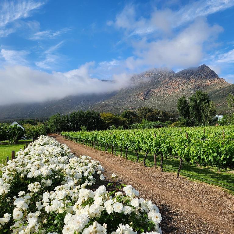 Klein Nektar Wine & Olive Estate, Montagu