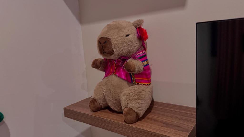 Cozy Equipped Apartment in Cusco - 4