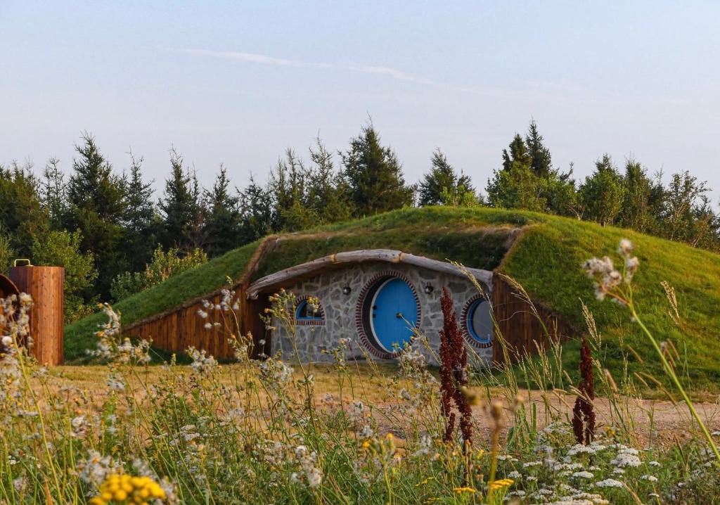 Terra Experience, Shippagan