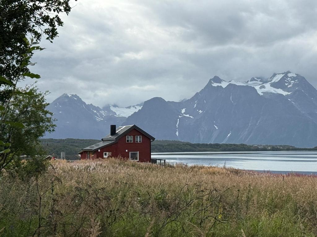 Lyngen Biarnes- Nordreisa, Rotsund