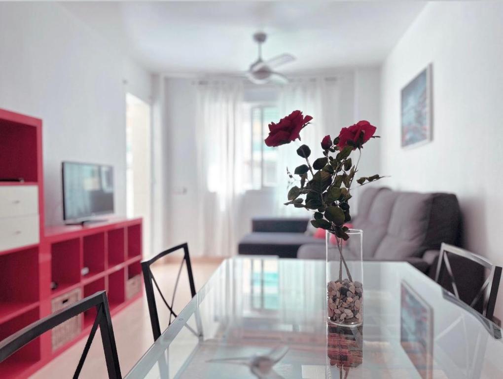 Apartamento en Roquetas de Mar - 5