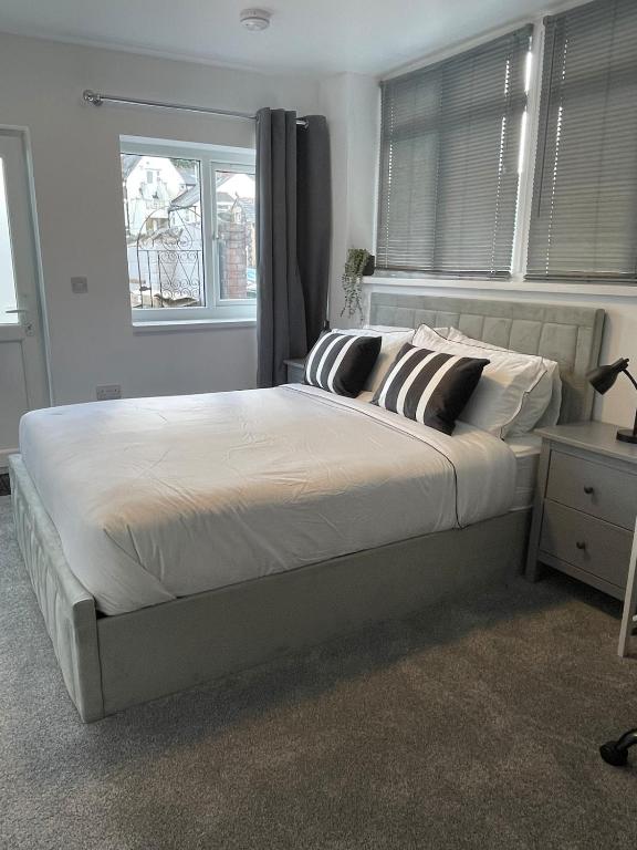 New King Studio in Trendy Pontcanna, Cardiff