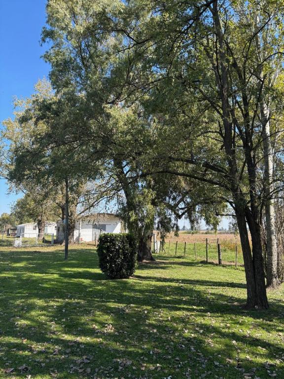 Casa de campo en Mercedes, Bs As - 5