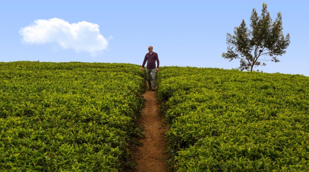 アクティビティ