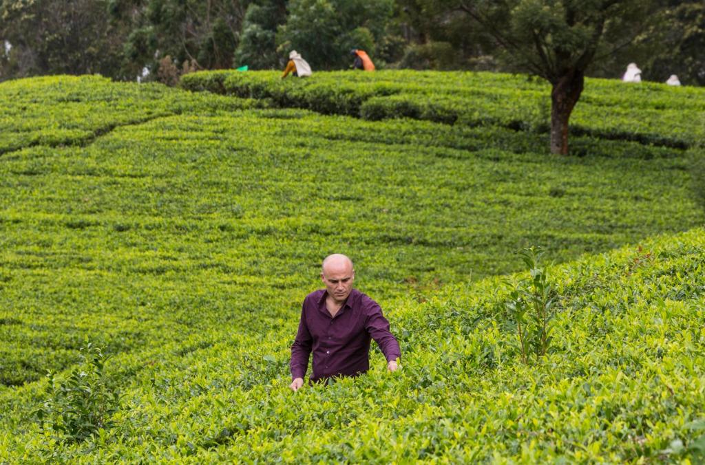 アクティビティ