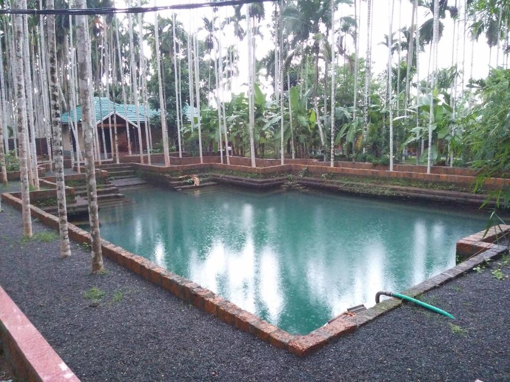 Yamunatheeram photo