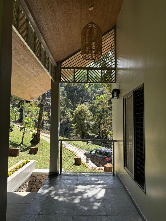 Lucas Rainforest, Kakkabe