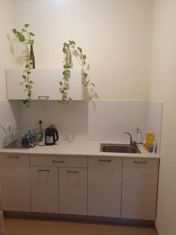 Pastoral unit צימר פסטורלי בגליל, Hanaton