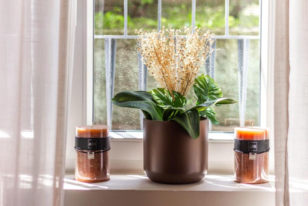 Home Studio Luxury - 5
