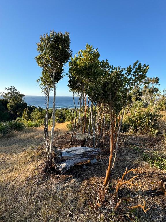 Casa frente al mar - 5