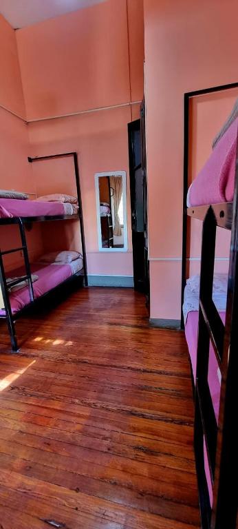 4베드 여성 전용 도미토리룸 내 침대