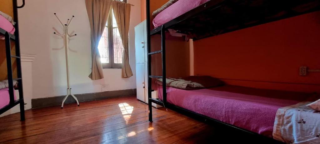 4베드 여성 전용 도미토리룸 내 침대