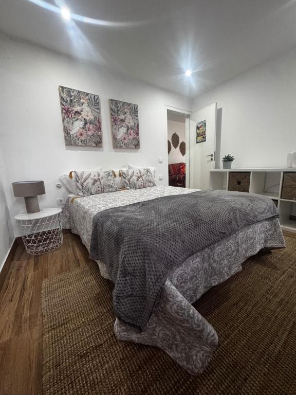 Simple House in the Heart of the Historic Center, Porto