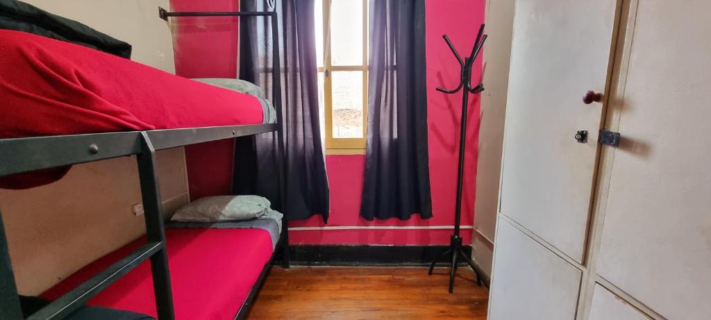 4베드 혼성 도미토리룸 내 침대