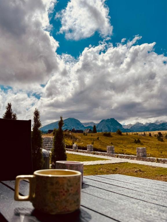 Durmitor's Mirror Žabljak - 3