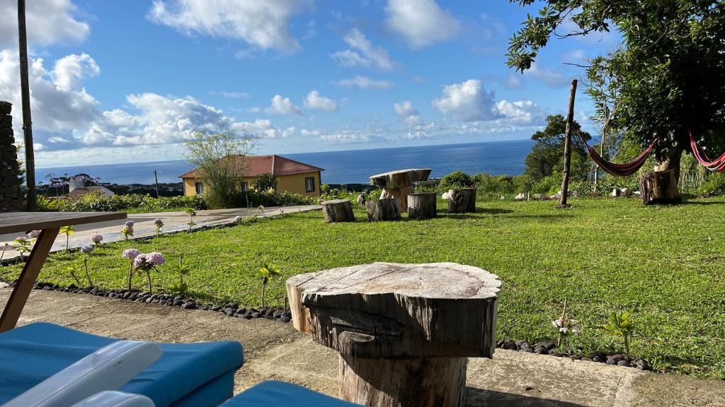 Biscoitos Top View, Biscoitos