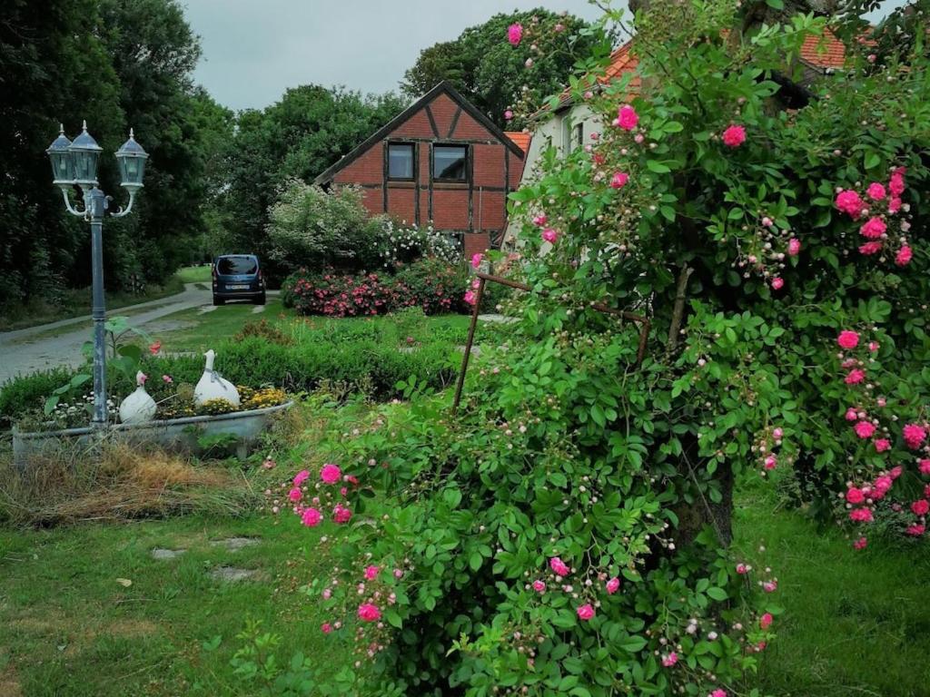 Haus Altendeich, Stick