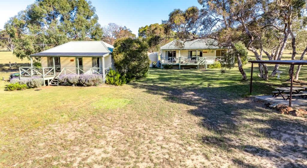 Lavendar & Grevillea, Currency Creek