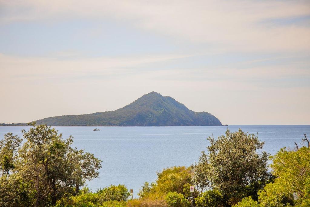 Albacore 5, Nelson Bay