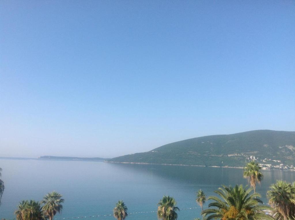 Surrounding environment