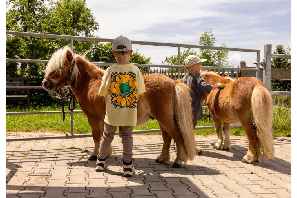 Ferienhof Sinz im Allgäu - 4