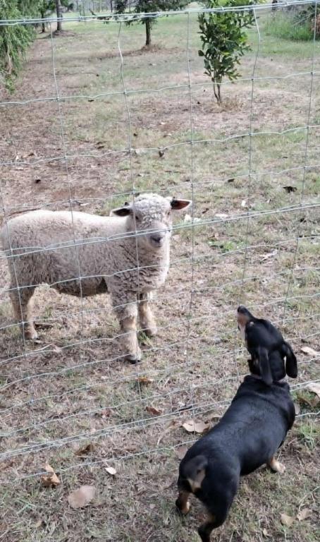 Trinity House, Wondai