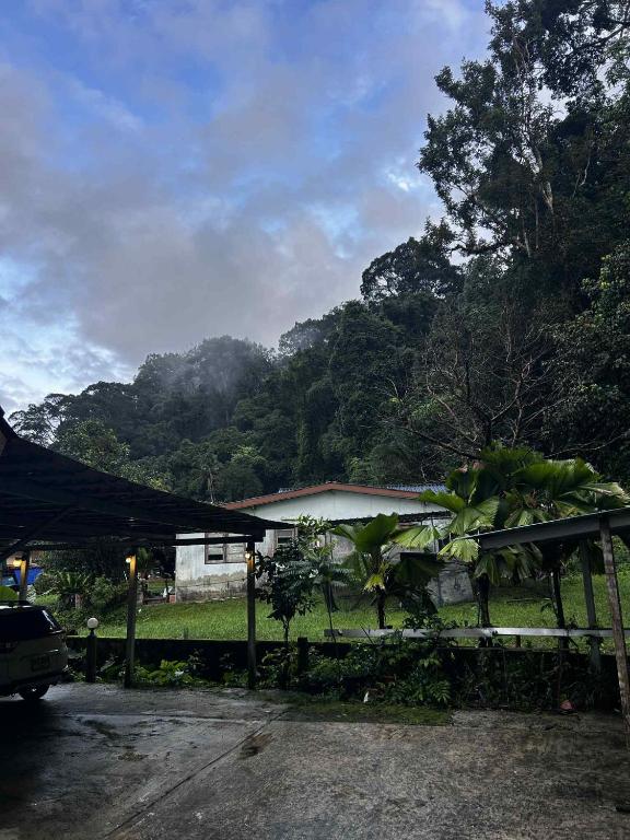 Surrounding environment