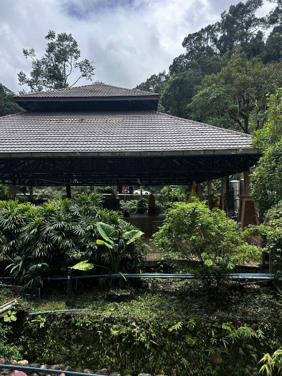 Surrounding environment