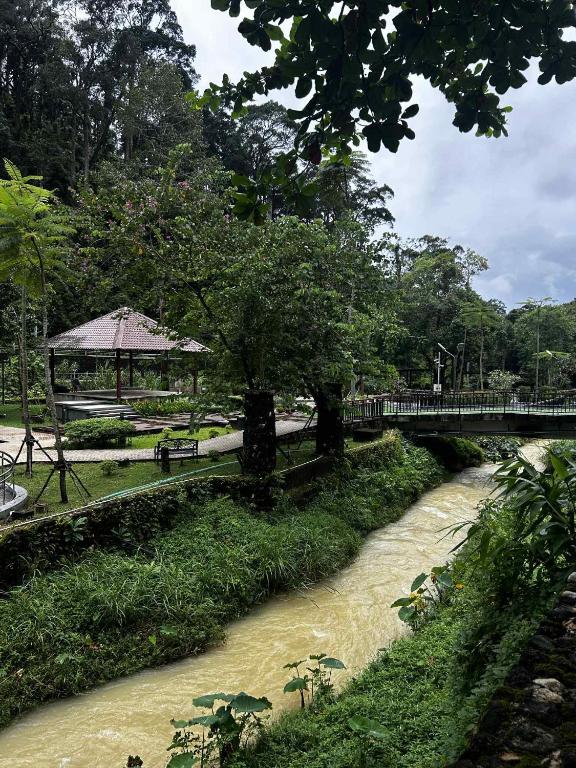 Surrounding environment
