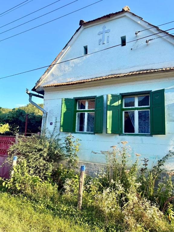 House in remote Transylvanian Village, Petiş