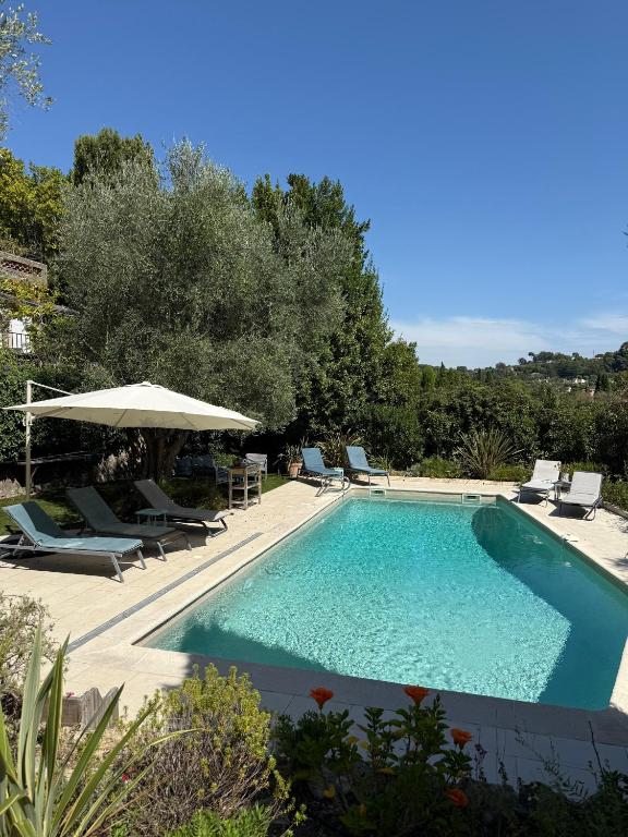 Charming Villa, Sunroof, big pool & olive trees - 4