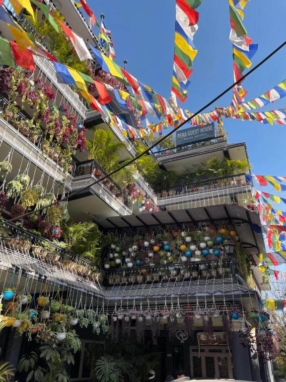 Pema Guest House, Kathmandu