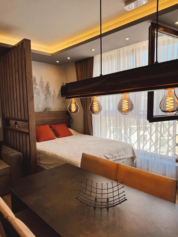 Evergreen Lux - 2
