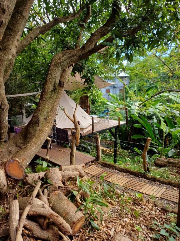 Tipi camping, Capesterre-Belle-Eau