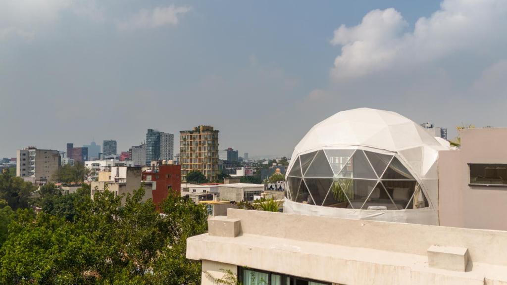 Umbral Sky Domes in Roma Norte - 3