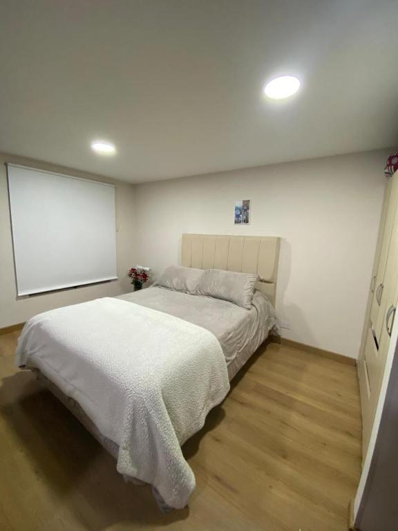 Aless loft apartment in Chapinero - 5