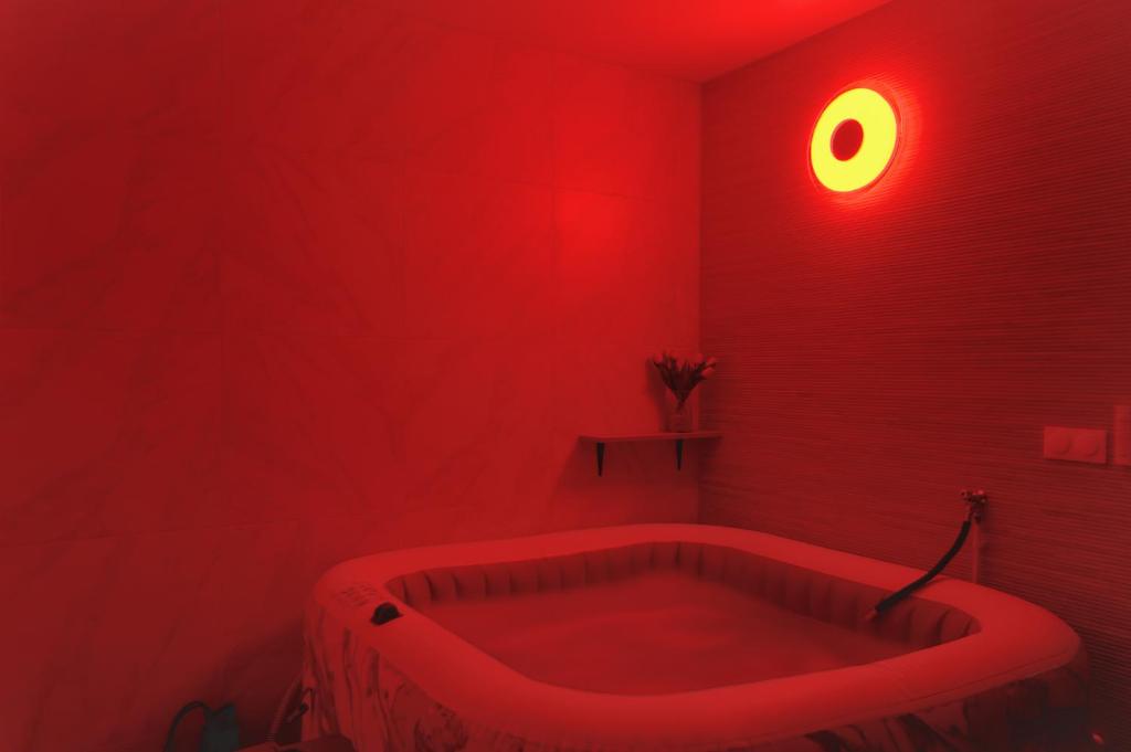 Beau F2, Paris Stade de France, Jacuzzi, Parking - 2