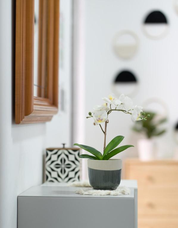 Casa Cielo - 4